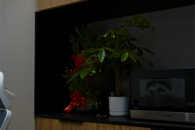 SON2407-HDR.webp